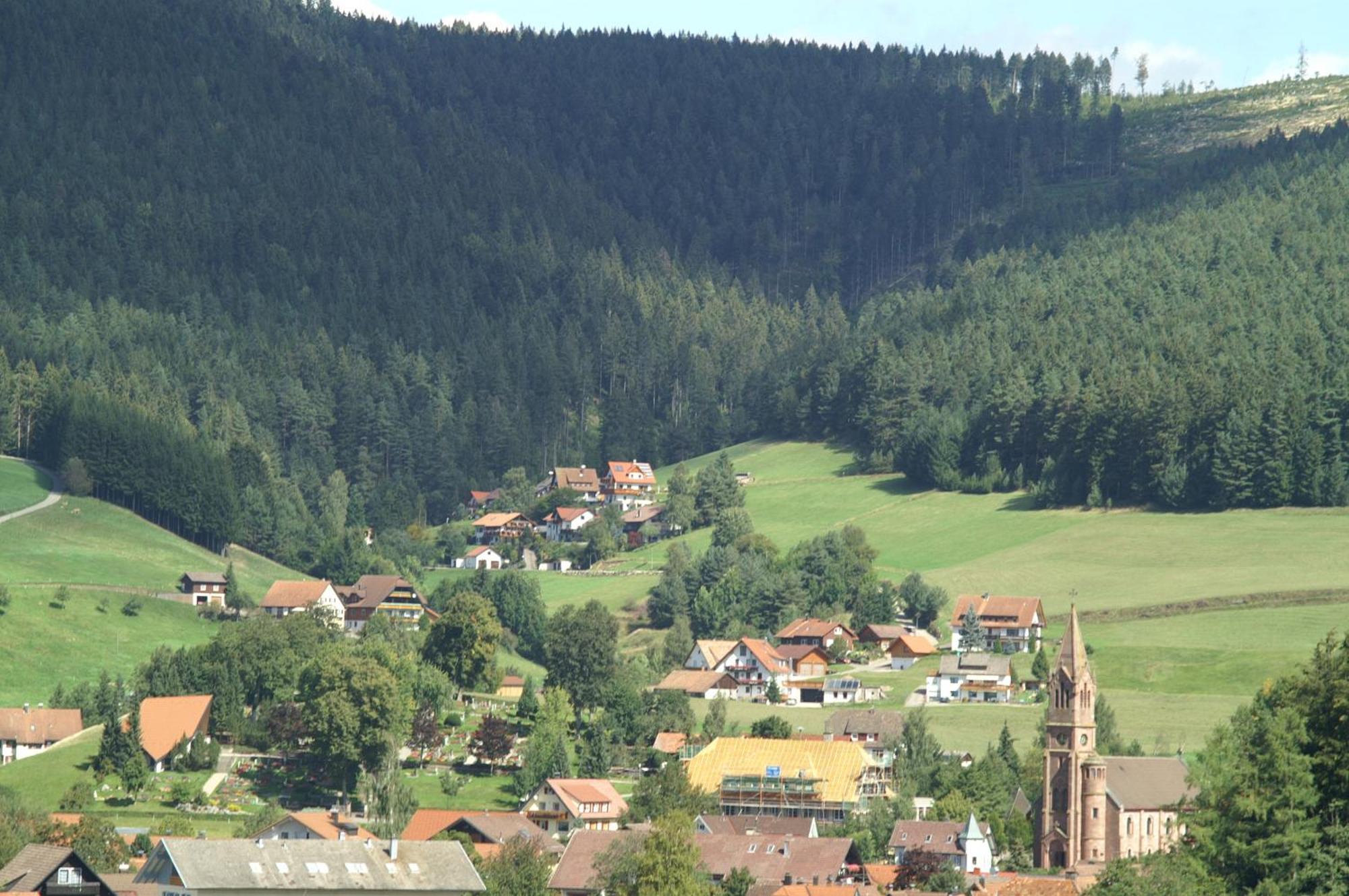 Hotel Lamm Baiersbronn Esterno foto